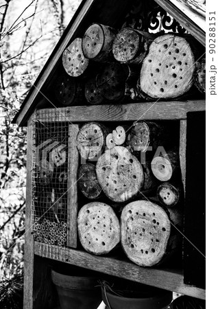 Bee and wasp habitat structure with drilled holes for insects to hibernate and nest in. Bee and wasp habitat structure with drilled holes for insects to hibernate and nest in. 90288151