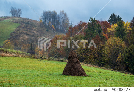 Cloudy and foggy autumn mountains scene. Peaceful picturesque traveling, seasonal, nature and countryside beauty concept scene. Carpathian Mountains, Ukraine. Cloudy and foggy autumn mountains scene. Peaceful picturesque traveling, seasonal, nature and countryside beauty concept scene. Carpathian Mountains, Ukraine. 90288223