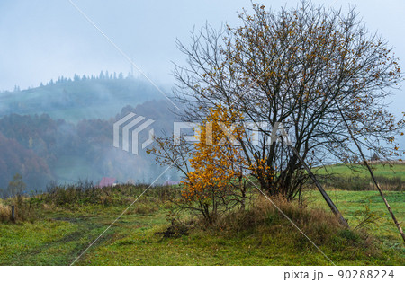 Cloudy and foggy autumn mountains scene. Peaceful picturesque traveling, seasonal, nature and countryside beauty concept scene. Carpathian Mountains, Ukraine. 90288224