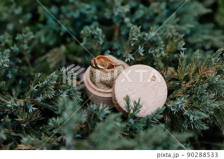 Two wedding rings in green fir branches 90288533