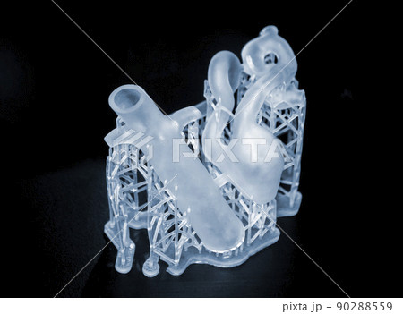 3D printed human heart prototype close-up. Object photopolymer printed on stereolithography 3D printer. Technology of liquid photopolymerization under UV light. New 3D printing technology for medicine 3D printed human heart prototype close-up. Object photopolymer printed on stereolithography 3D printer. Technology of liquid photopolymerization under UV light. New 3D printing technology for medicine 90288559