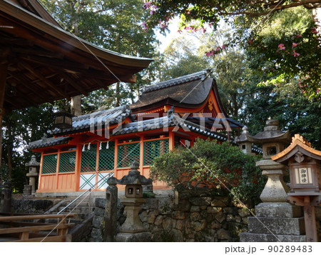 木立の中に立つ棚倉孫神社の御本殿 木立の中に立つ棚倉孫神社の御本殿 90289483