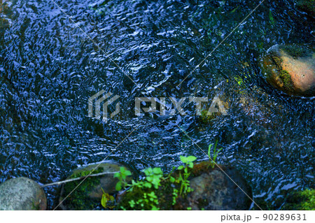 水源から湧き上がる水 90289631