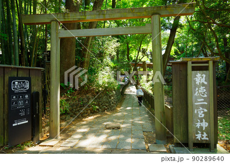 報徳二宮神社 参道 境内 報徳二宮神社 参道 境内 90289640