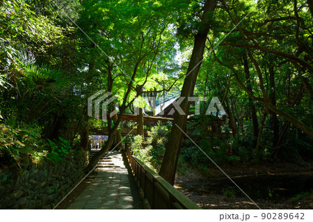 報徳二宮神社 参道 境内 報徳二宮神社 参道 境内 90289642