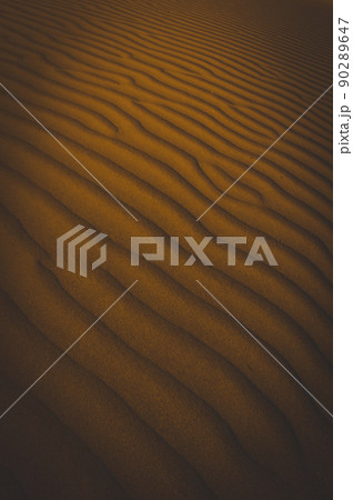 Dry soil .Dune .La Pampa Argentina Dry soil .Dune .La Pampa Argentina 90289647