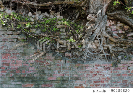 Aged ruined city masonry backdrop. Vintage facing castle fortress yard for 3D design. Dirty rural rock facade fortified wall texture, damp spooky ground floor. Aged ruined city masonry backdrop. Vintage facing castle fortress yard for 3D design. Dirty rural rock facade fortified wall texture, damp spooky ground floor. 90289820