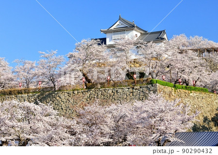 鶴山公園（津山城）の桜 90290432