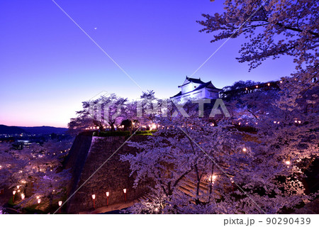 鶴山公園(津山城)の桜 鶴山公園(津山城)の桜 90290439