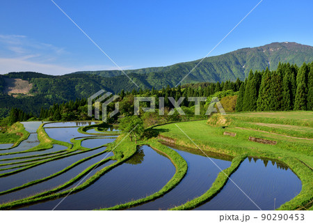 別宮（べっくう）の棚田 90290453