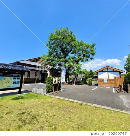 出水麓武家屋敷群 いずみ麓歴史館 周辺風景 新緑の頃 鹿児島県 出水麓武家屋敷群 いずみ麓歴史館 周辺風景 新緑の頃 鹿児島県 90290747