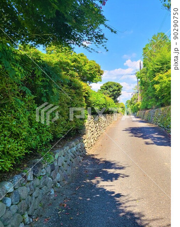 出水麓武家屋敷群 いずみ麓歴史館 周辺風景 新緑の頃 鹿児島県 出水麓武家屋敷群 いずみ麓歴史館 周辺風景 新緑の頃 鹿児島県 90290750
