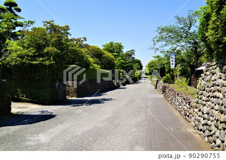 出水麓武家屋敷群　いずみ麓歴史館　周辺風景　新緑の頃　鹿児島県 90290755