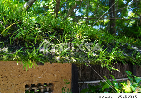 出水麓武家屋敷群　いずみ麓歴史館　周辺風景　新緑の頃　鹿児島県 90290830