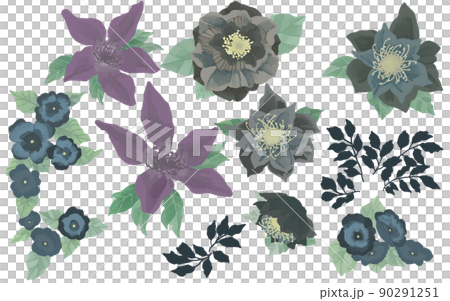 黑花/套圖 90291251