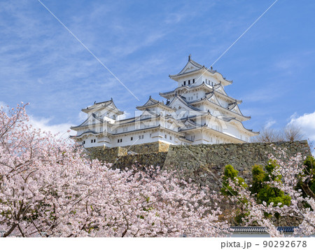 兵庫_桜満開の世界遺産姫路城の絶景 90292678