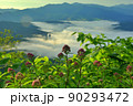 花の向こうに雲海を望む 90293472