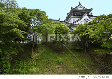 岡崎城（清海堀に架かる廊下橋と天守） 90293816