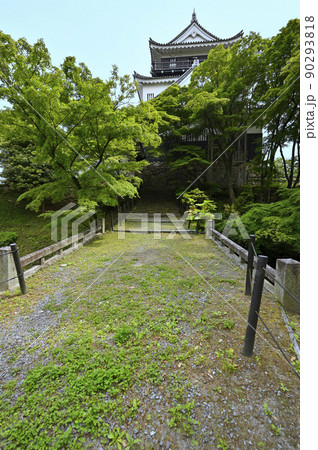 岡崎城(清海堀に架かる廊下橋と天守) 岡崎城(清海堀に架かる廊下橋と天守) 90293818