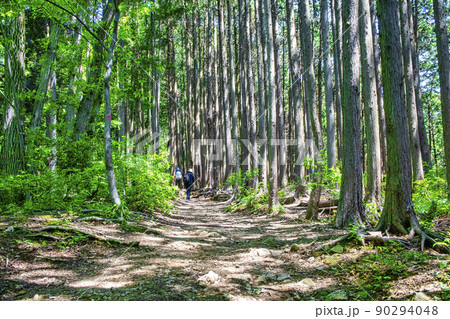 東京都 都立高尾陣場自然公園 景信山への登山道 東京都 都立高尾陣場自然公園 景信山への登山道 90294048