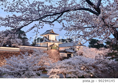 桜咲く金沢城公園ライトアップ 90294145