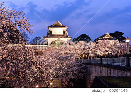 桜咲く金沢城公園ライトアップ 90294146