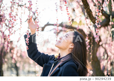 カメラ女子　結城神社梅林 90294239