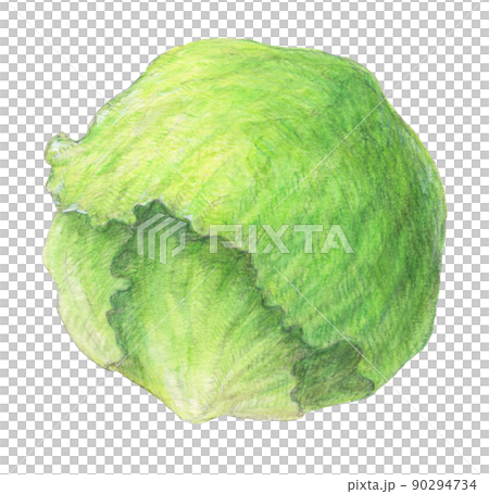生菜水彩鉛筆蔬菜插圖背景透明 90294734