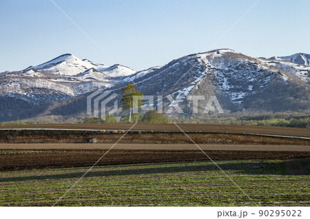 ニセコ連峰 ニセコ連峰 90295022