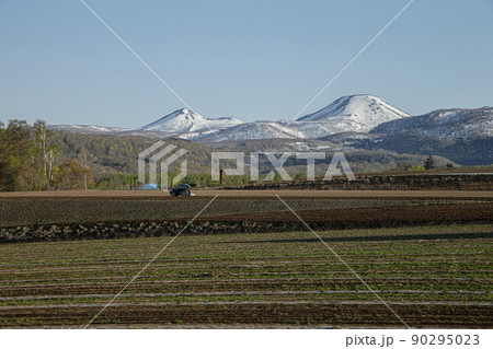 ニセコ連峰 90295023