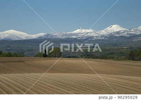 ニセコ連峰 ニセコ連峰 90295029