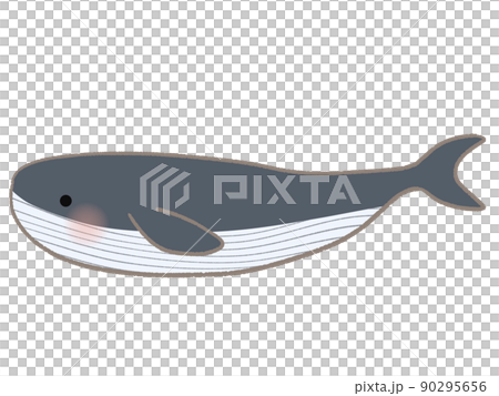 シンプルなクジラのイラストのイラスト素材