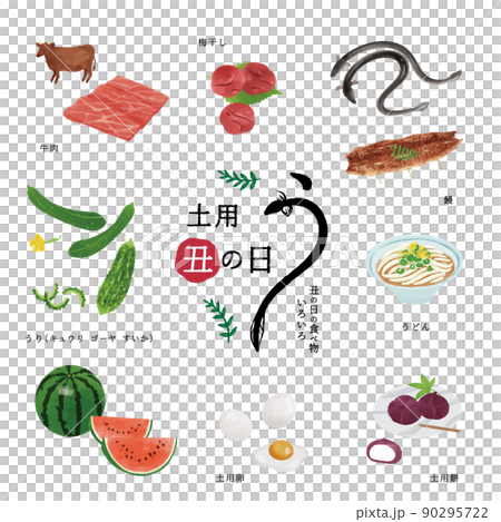 土用の丑の日の食べ物のイラスト/うなぎ・牛肉 土用の丑の日の食べ物のイラスト/うなぎ・牛肉 90295722