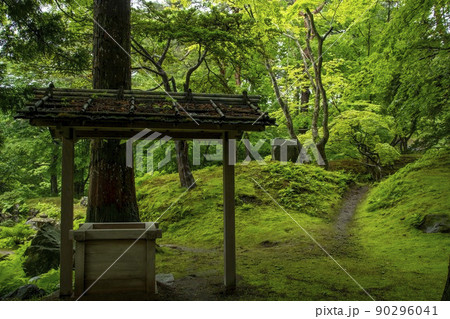 ひっそりと佇んで 90296041