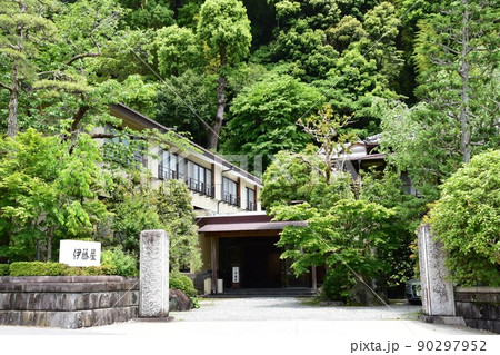 湯河原町　老舗旅館伊藤屋と新緑 90297952