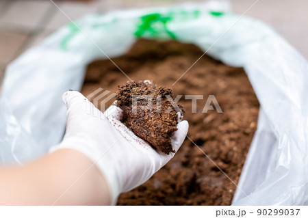 カブトムシの飼育　昆虫　マット交換 90299037