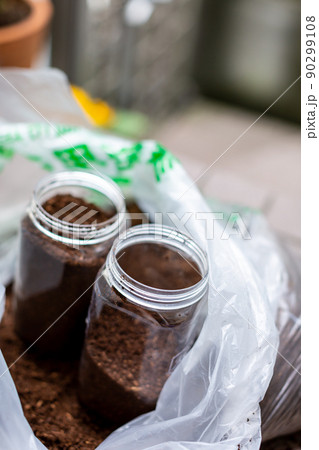 カブトムシの飼育　昆虫　マット交換 90299108