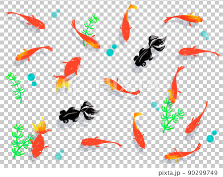 Summer_cool goldfish and aquatic plants swaying Summer_cool goldfish and aquatic plants swaying 90299749
