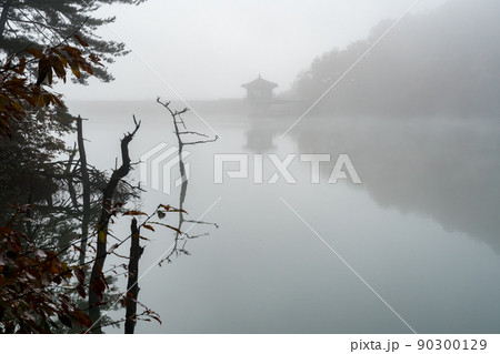 八角亭 朝 霧 90300129