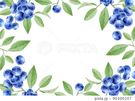ブルーベリー 果物 背景 フレーム 水彩 イラストのイラスト素材