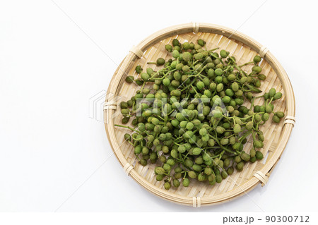 実さんしょう 90300712