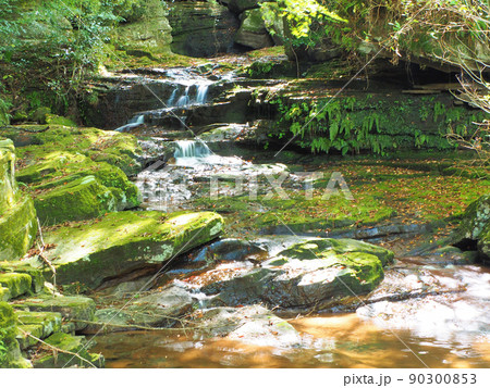 山中渓谷の紅葉　福岡県八女市黒木町木屋 90300853