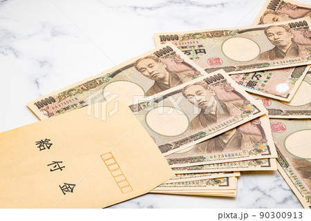 給付金 ビジネスを更に加速させる給付金、補助金 給付金 ビジネスを更に加速させる給付金、補助金 90300913