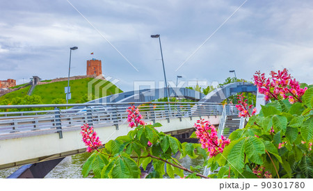 Vilnius Upper Castle with Tower Of Gediminas, landscape of Vilnius 90301780