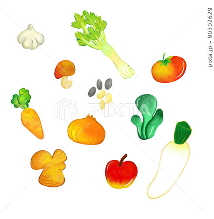 免疫力が上がる野菜いろいろ 90302629