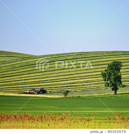 Tractor in the field. Beautiful spring landscape in the countryside in the Czech Republic. Concept for agriculture and nature. 90303079