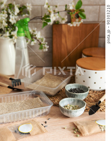 Microgreen seeds in paper bags and equipment for sowing microgreens. 90303210
