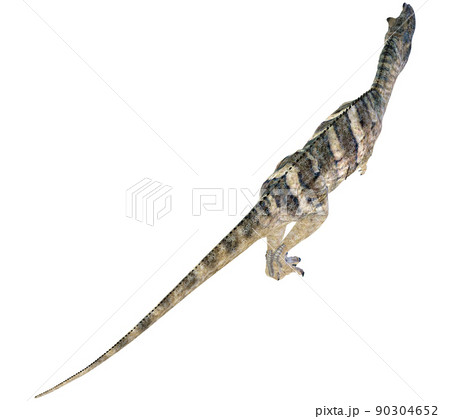 ケラトサウルス☆Ceratosaurus ケラトサウルス☆Ceratosaurus 90304652