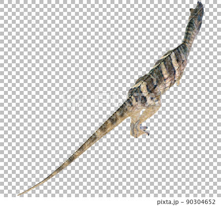 ケラトサウルス☆Ceratosaurus ケラトサウルス☆Ceratosaurus 90304652