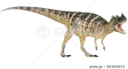 ケラトサウルス☆Ceratosaurus 90304654